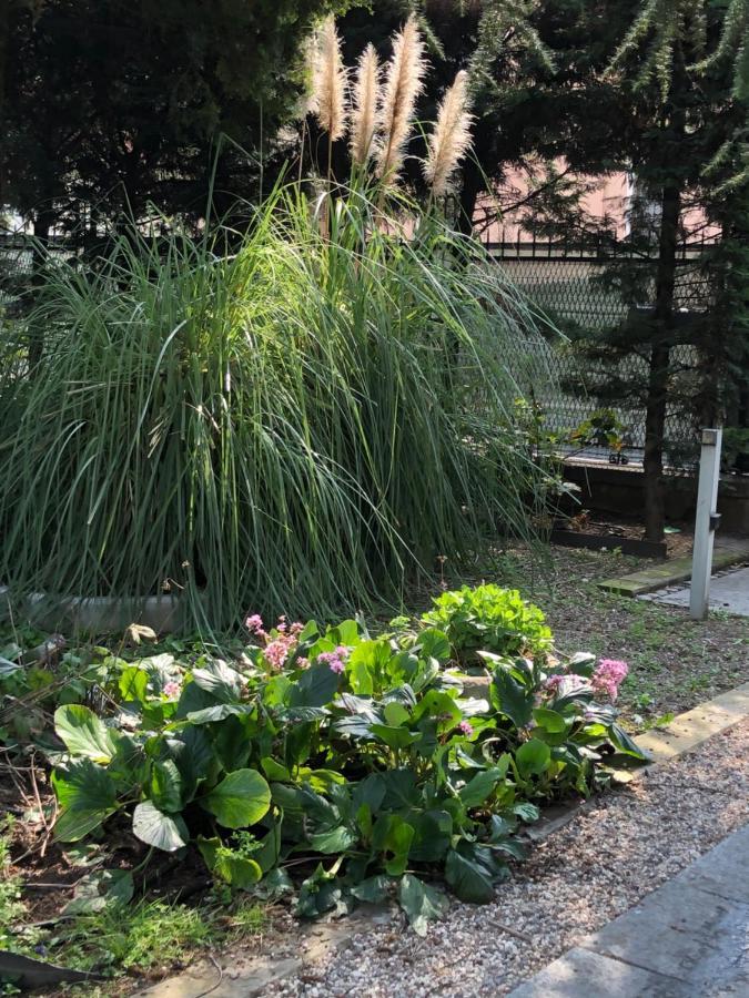 파르마 Il Villino Della Duchessa B&B 외부 사진